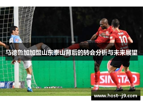 马德鲁加加盟山东泰山背后的转会分析与未来展望