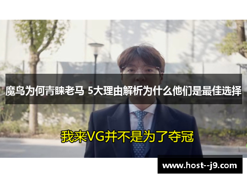 魔鸟为何青睐老马 5大理由解析为什么他们是最佳选择